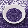 MIYUKI Delica Beads SEED-JP0008-DB1810-2