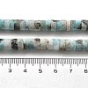 Natural Larimar Beads Strands G-Q024-B03-04-5