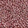 TOHO 6/0 Round Beads SEED-XTR06-PF0552-3