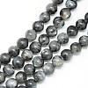 Natural Larvikite Beads Strands G-R345-12mm-33-1