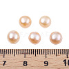 Half Drilled Natural Cultured Freshwater Pearl Beads PEAR-N020-06A-8