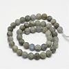 Natural Labradorite Frosted Bead Strands G-O155-04B-6mm-2