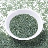 MIYUKI Delica Beads X-SEED-J020-DB1282-2
