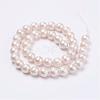 Wrinkle Textured Shell Pearl Beads Strands BSHE-E016-10mm-07-2