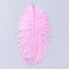 Ostrich Feather Costume Accessories FIND-R036-A-15-1