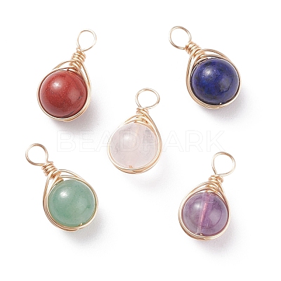 Natural Gemstone Pendants PALLOY-JF01392-1