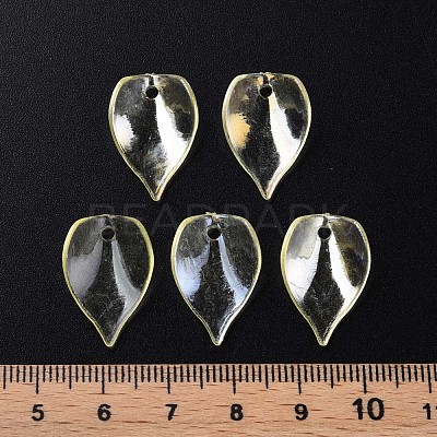 Transparent Acrylic Beads MACR-S373-103-C01-1