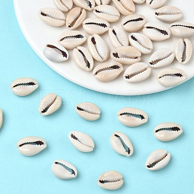 Natural Cowrie Shell Beads LS-X-BSHE-O007-73-1