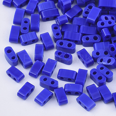 FGB 2-Hole Glass Seed Beads SEED-S031-M-048-1