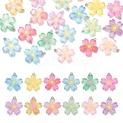 24Pcs 12 Colors Translucent Resin Pendants RESI-CJ0002-50-1