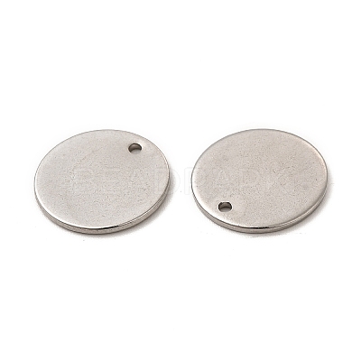 Non-Tarnish 304 Stainless Steel Charms LS-STAS-L207-24C-P-1
