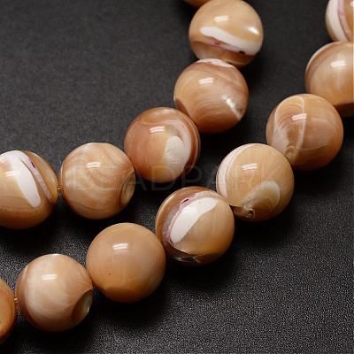 Natural Sea Shell Beads Strands SSHEL-K013-10mm-B-1