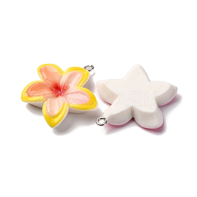Opaque Resin Pendants RESI-A046-05E-1