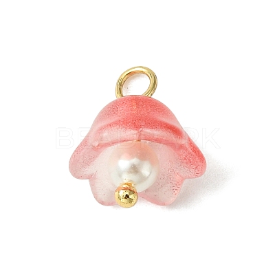 Transparent Spray Painted Glass Charms PALLOY-TA00091-1
