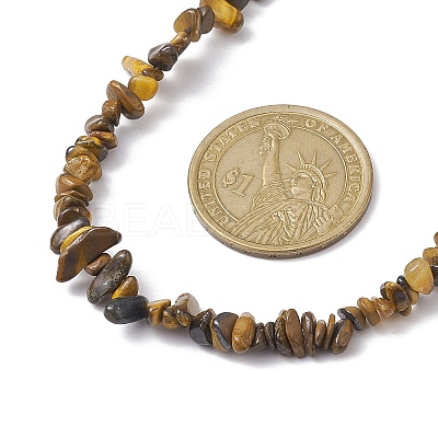 Natural Tiger Eye Chip Beaded Necklace NJEW-JN04616-08-1