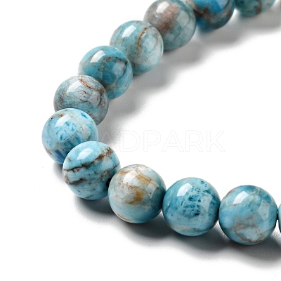 Natural Apatite Beads Strands G-G858-01B-1