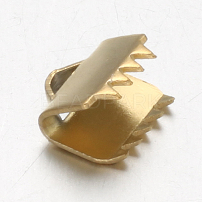 Ion Plating(IP) 304 Stainless Steel Ribbon Clamp Ends X-STAS-F094-18-1