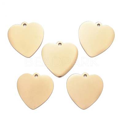 304 Stainless Steel Pendants LS-STAS-I140-10A-G-1