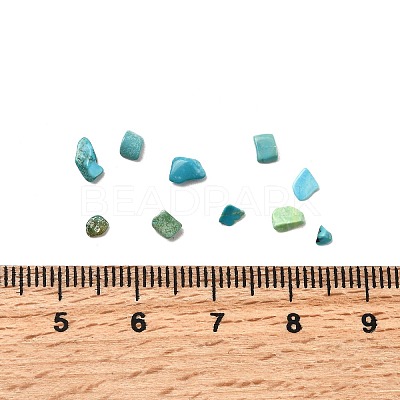 Dyed & Heated Natural Magnesite Chip Beads G-L453-01-1