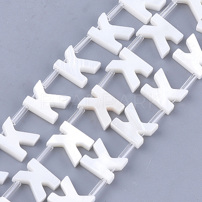 Freshwater Shell Beads X-SHEL-T012-59K-1