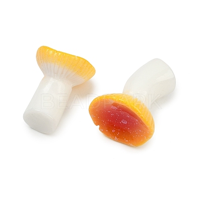 Mushroom Themes Resin Display Decorations DJEW-S002-01E-1