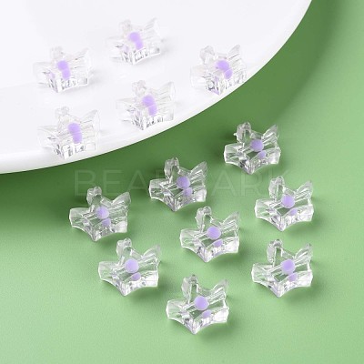 Transparent Acrylic Beads MACR-S373-105-B02-1