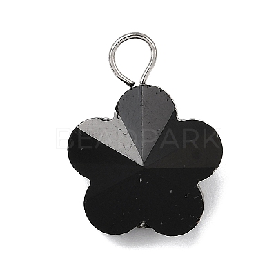 Transparent Glass Pendants PALLOY-JF04099-01-1