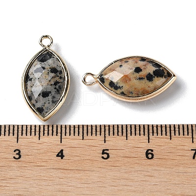 Natural Dalmatian Jasper Pendants G-B009-01G-B-1