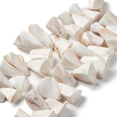 Natural Shell Beads Strands BSHE-M034-02-1
