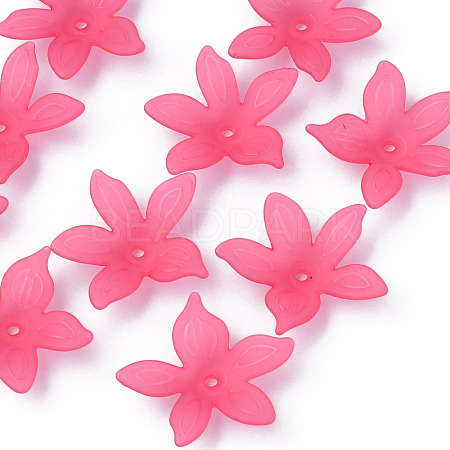 Transparent Acrylic Beads MACR-S373-127-D01-1