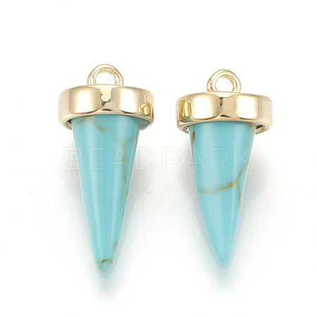 Synthetic Turquoise Charms KK-Q735-399D-1