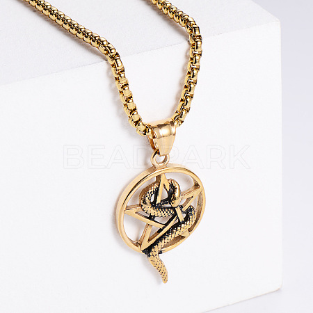 Vintage 304 Stainless Steel Snake Wrapped Pentagram Pendant Punk Necklaces ZI6457-2-1