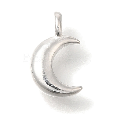 925 Sterling Silver Charms STER-G043-05B-S-1