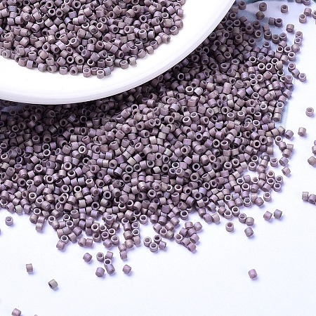 MIYUKI Delica Beads X-SEED-J020-DB1064-1
