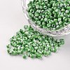 8/0 Opaque Colours Seep Glass Beads SEED-M007-21-1