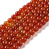 Natural Carnelian Beads Strands X-G-G390-8mm-03-1