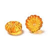 Autumn Theme Transparent Acrylic Beads X-PL712Y-5-3