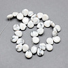 Natural Howlite Gemstone Beads Strands G-T005-17-2