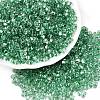 Baking Paint Transparent Glass Seed Beads SEED-N006-05J-1