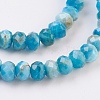 Natural Apatite Beads Strands G-F568-097-C-3