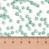 6/0 Glass Seed Beads SEED-A015-4mm-2218-4