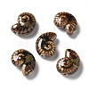Handmade Porcelain Beads PORC-L080-F08-1