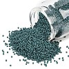 MIYUKI Delica Beads X-SEED-J020-DB2407-1