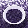 MIYUKI Delica Beads SEED-J020-DB0609-2