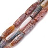 Natural Weathered Agate Beads Strands G-P570-C03-01-1