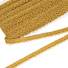 Polyester Braided Metallic Lace Trim SRIB-WH0011-180A-01-1