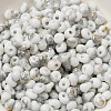 Baking Paint Glass Seed Beads X1-SEED-F006-01A-09-3