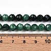 Natural Fuchsite Beads Strands G-T140-20A-5