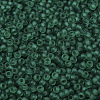 MIYUKI Round Rocailles Beads X-SEED-G007-RR0147F-3