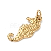 Ocean Theme 304 Stainless Steel Pendants STAS-D224-06G-02-2